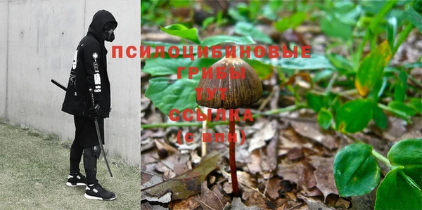 не бодяженный Саяногорск