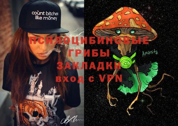 mix Белокуриха